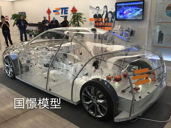 兰陵县透明车模型