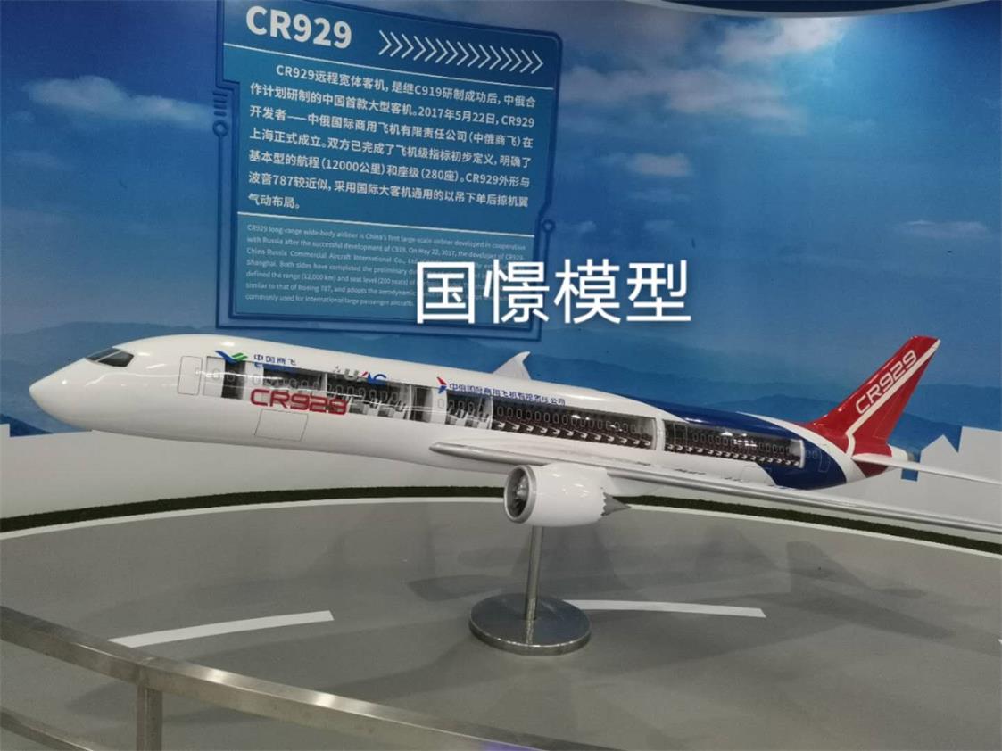兰陵县飞机模型